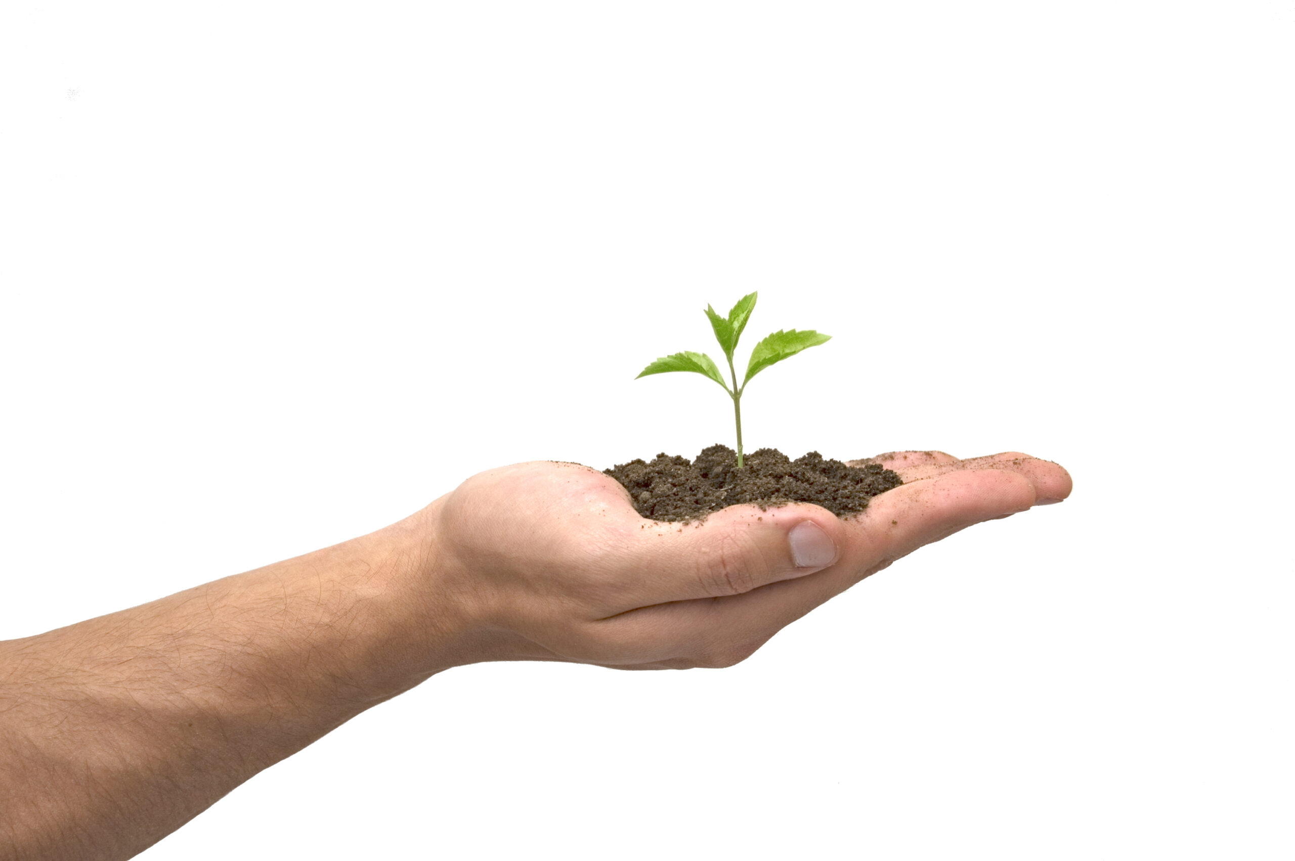 É o “negócio social” sinônimo de desenvolvimento sustentável?