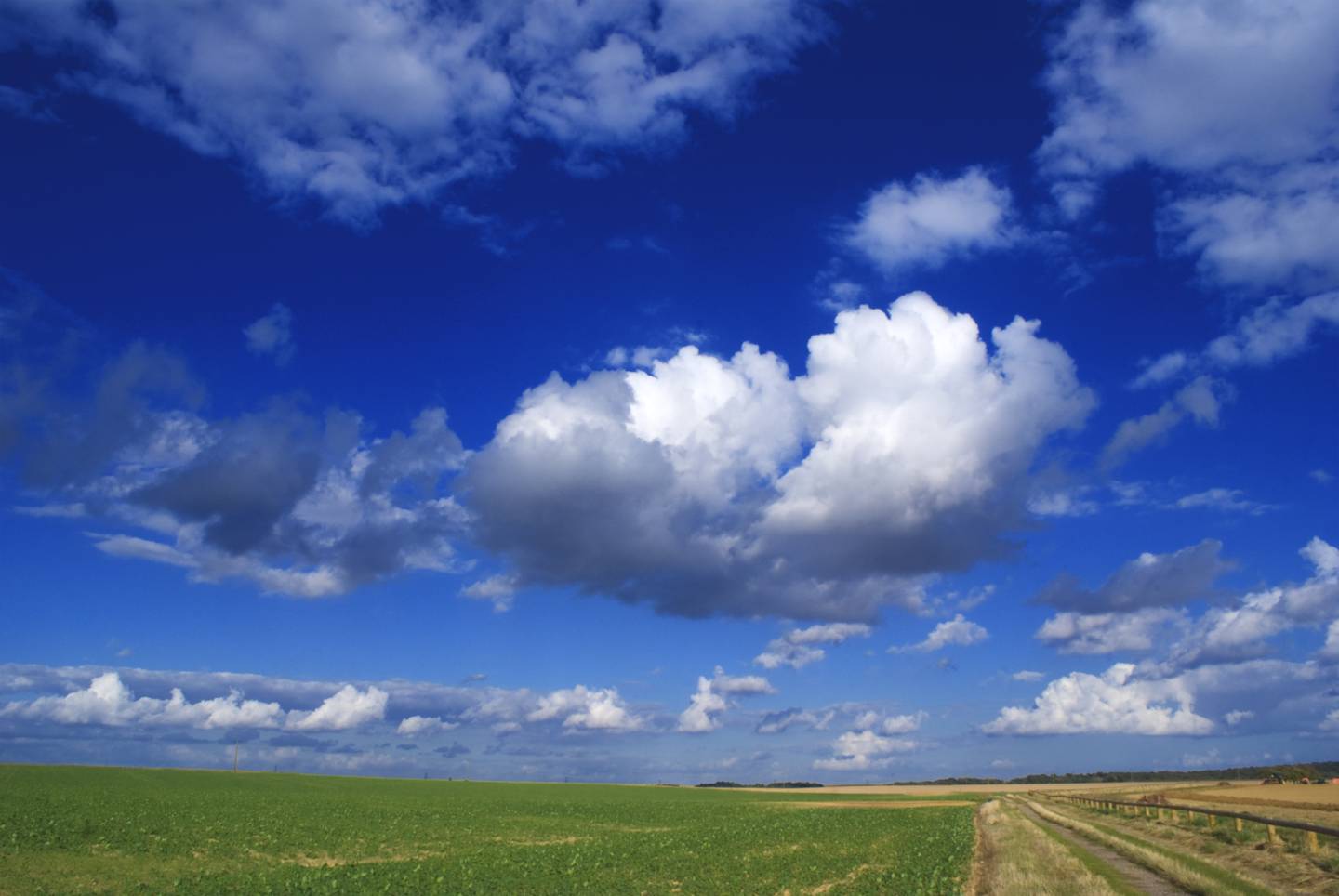 Sua Equipe Está Preparada Para Cloud Computing?