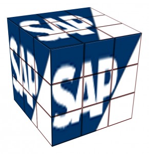 Áreas de atuação para um iniciante em TI : SAP