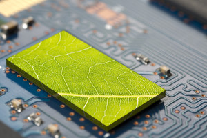 TI suportando a Sustentabilidade Ambiental