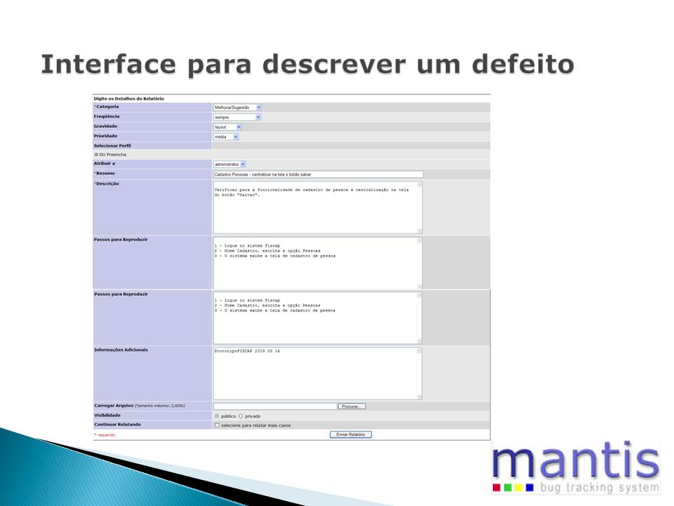 Gestão de defeito: Descreva! - II - Figura XIII