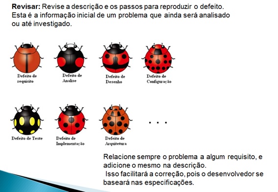 Gestão de defeito: Descreva! - II - Figura VI