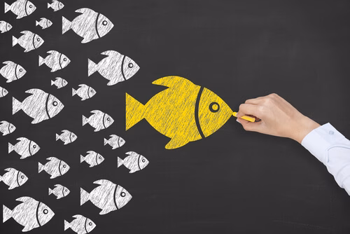 3 minutos esclarecedores sobre Liderança