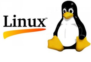 Figura - Quanto custa o Kernel do Linux? - O custo da inovação