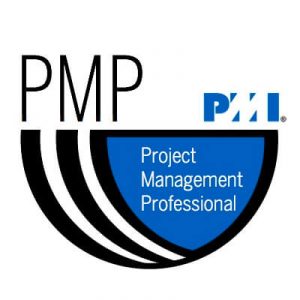 Figura - Project Management Professional