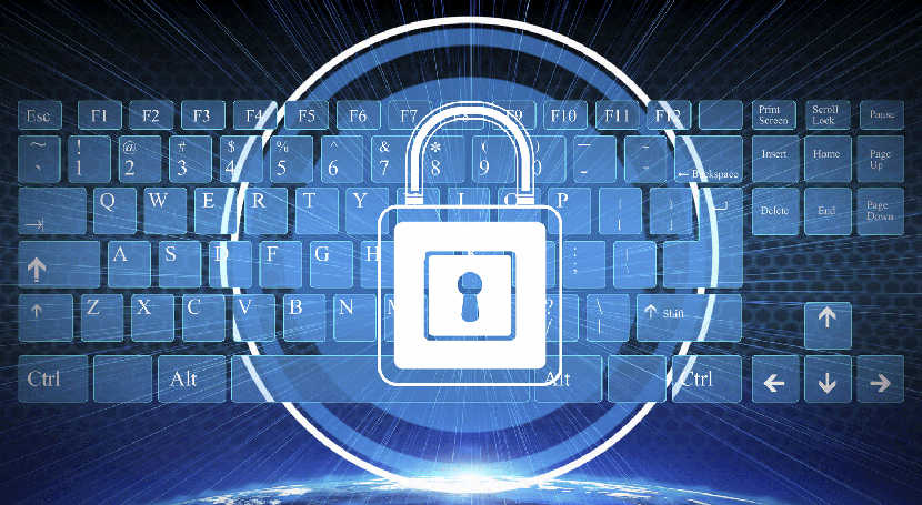 Em tempos de crise, cresce a importância de ter um e-commerce seguro